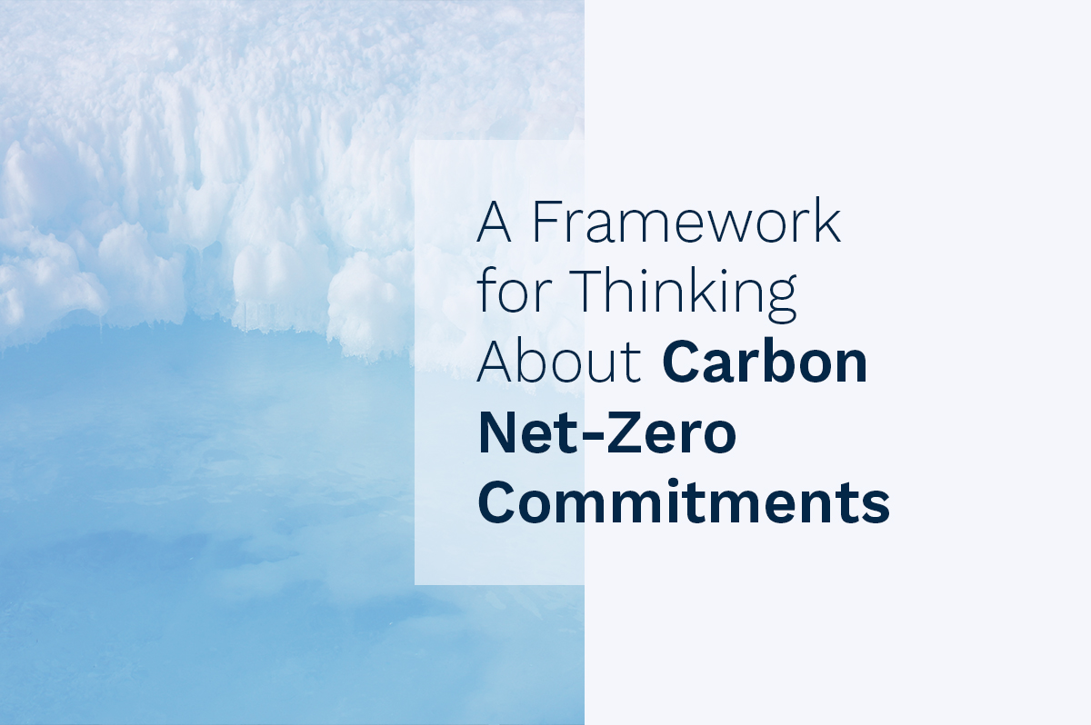 A Framework for Thinking About Carbon Net-Zero Commitments